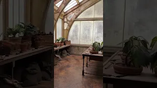 Harry Potter Herbology class in REAL LIFE #shorts #harrypotter