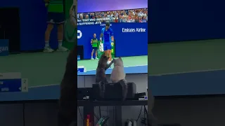 Novak Djokovic had some furry fans during the US Open 😅 🐱 (via @huluandluka/IG) #shorts