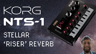 The KORG NTS-1's Stellar 'Riser' Reverb