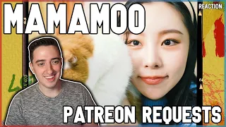 MAMAMOO - "woo hoo" + Wheein "OHOO" + "Butterfly" + "Ice Cream Love" + Funny Compilation | REACTION