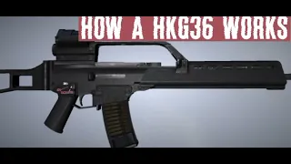 HK G36 | How a HK G36 Works!