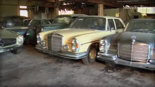 Der  Scheunenfund: 20 klassische Mercedes-Benz im Bergischen Land aufgetaucht