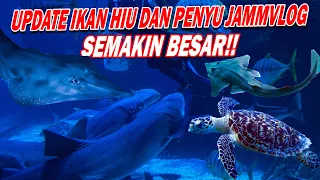 DILUAR EKSPEKTASI !!! IKAN HIU  @JAMMVLOG DI MEGATANK 1.800 TON JADI MONSTER BANGET DAN PENYU VIRAL