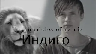 The chronicles of narnia | Индиго