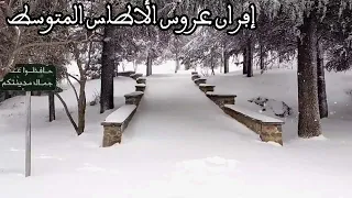 Ifrane & Snow - 😍🥰🤯 أروع فيديو من إفران لن تصدق أنك في المغرب