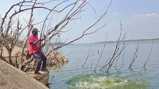 100% Professional fishing in River| catching big (7kg,6kg & 4kg ) rohu fishes | Single hook fishing