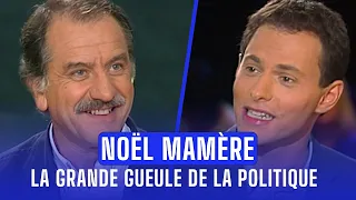 "Voyou, insolent, grossier personnage" : Noël Mamère face à Marc-Olivier Fogiel (ONPP)