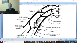 Musculo-skeletal Module I in English 26 ( Brachial plexus, part 2  ) , by Dr. Wahdan 2022