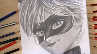 Drawing miraculous cat Noir /drawholic drawings in graphite pencil timelapse