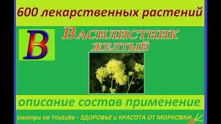 василистник желтый 600 лекарственных растений