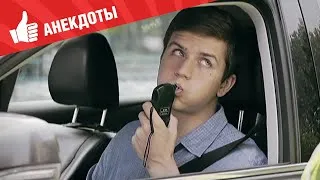 Анекдоты - Выпуск 177