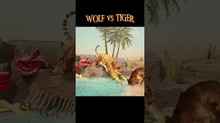 WOLF GAME | Animals! Stand Up for the Water! #wolf #animals #shorts