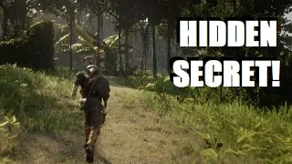 Five Hidden SECRET TRAILS Found in Red Dead Redemption 2!