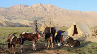 Real Village Life in Afghanistan | Food & Traditions Through the Seasons (Movie)