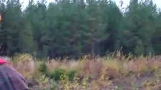 Moose hunting in Munsäl, Finland