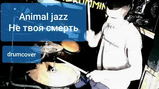 ANIMAL JAZZ Не твоя смерть.(drum cover)