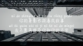 【厚颜无耻-曲肖冰】HOU YAN WU CHI-QU XIAO BING /TIKTOK,抖音,틱톡/Pinyin Lyrics, 拼音歌词, 병음가사/No AD, 无广告, 광고없음