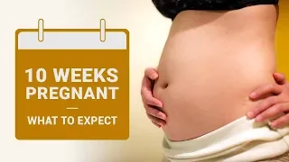 10 Weeks Pregnant - What To Expect?