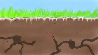 Compost Animation