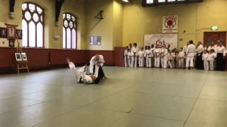 Daniel Felisiak Sensei - Aikido Shoshinkan 10 Year Anniversary Demonstration