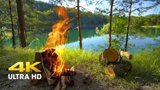 4к Beautiful Campfire at Lake With Blue Water