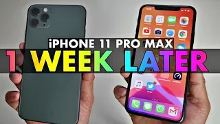 iPhone 11 Pro Max vs Huawei P30 Pro Quick Camera Comparison + 1 Week Later Review