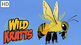 Wild Kratts 🍯🐝 The Toughest Honey Bees | Kids Videos