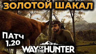 [СТРИМ] Way of the Hunter ► ЗОЛОТОЙ ШАКАЛ В КОНЦЕ СТРИМА? :-)