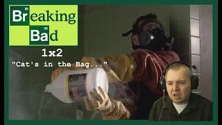Breaking Bad 1x2 'Cat's in the Bag' REACTION (from 2017)