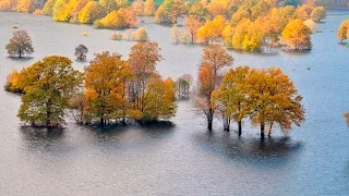 State of Scotland's Environment report - climate