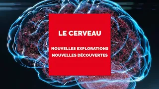 Fondamental ! À la recherche du Futur | EP3 | Les recherches sur le cerveau