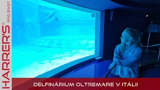 Delfinárium Oltremare v Itálii