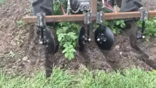 Hilling potatoes with homemade disc hiller