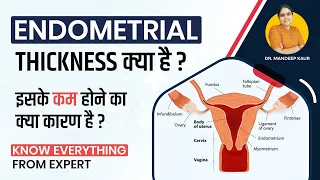 Endometrial thickness, Cancer, in Hindi, Layers, Thin/Endometrial Hyperplasia, Causes, Treatment