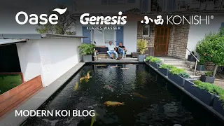 Modern Koi Blog #5515 - An Maurice Teich ohne Maurice