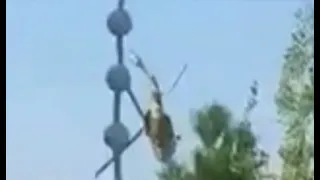 Taliban pilots crash while trying to fly an abandoned American Blackhawk helicopter