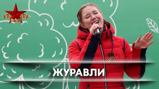 ЖУРАВЛИ. Зарина Якупова.