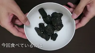 岩のような炭のような何かを食べてみた　I tried to eat something that looked like a rock, like charcoal.