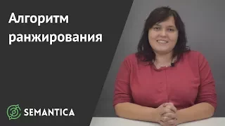 Как работает алгоритм ранжирования? | SEMANTICA