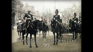 Avenida de las Camelias - Marcha Militar Argentina