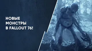 Все новые существа из Fallout 76!