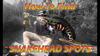 Snakehead Fishing Spots: How to Find Them Using These Websites & Tools; Tips to Find Snakehead