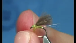 Tying the F- Fly CDC Snowshoe Dun by Davie McPhail