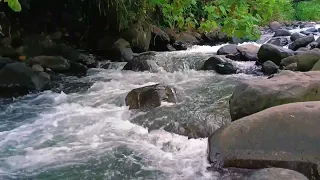 1 Jam Santai Suara Air Sungai yang Indah Mengalir Menenangkan Pikiran, Tidur Nyenyak, Meditasi