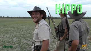 416 Ruger hammers hippo on land