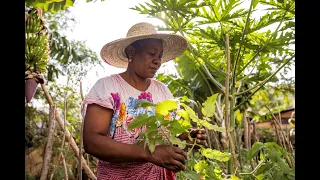 Women Grow Gardens & Fight Hunger in Tanzania