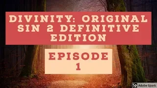 *NEW SERIES* Divinity: Original Sin 2 Definitive Edition- Episode 1: Escape