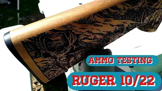 Ruger 10/22 ammo testing what does it shoot the best.