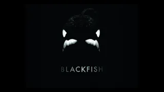 Blackfish - Documentary - 2013