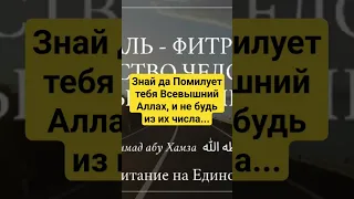 Знай да Помилует тебя Всевышний Аллах, и не будь из их числа.../ Мухаммад абу Хамза حفظه الله ورعاه.